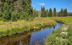 10629-20200723_105457