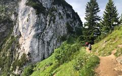 293176972_459221122712195_12414630901037274_n