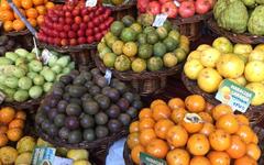 WhatsApp Image 2023-01-05 at 20.31.51 (12)