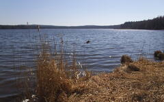 Brdy u Plzně, Foto: Zdeněk Krátký