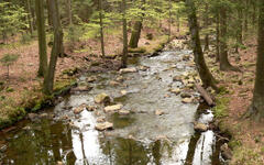 Brdy u Plzně, Foto: Zdeněk Krátký