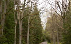 Brdy u Plzně, Foto: Zdeněk Krátký