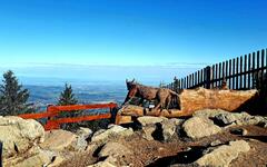 Beskydy na kole. Foto: Petr Lacko